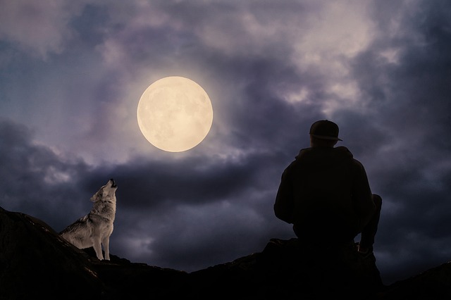 alessandro poletti notte lupo luna piena ragazzo lunatico